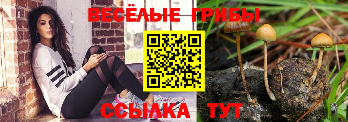 даркнет сайт  Вход с VPN  Екатеринбург  Псилоцибиновые грибы Psilocybine cubensis 